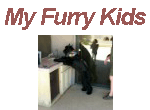 My Furry Kids Slide Show